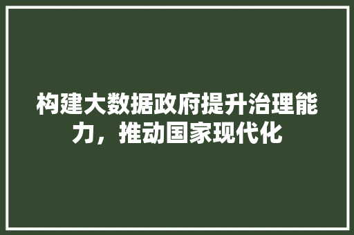构建大数据政府提升治理能力，推动国家现代化