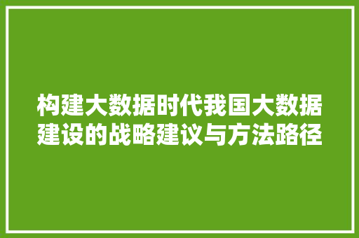 构建大数据时代我国大数据建设的战略建议与方法路径
