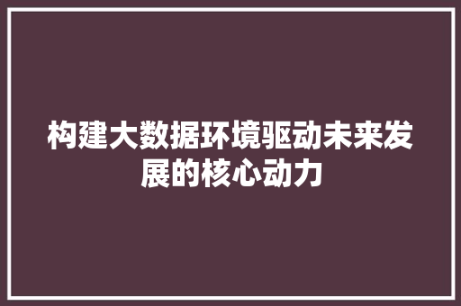 构建大数据环境驱动未来发展的核心动力  第1张