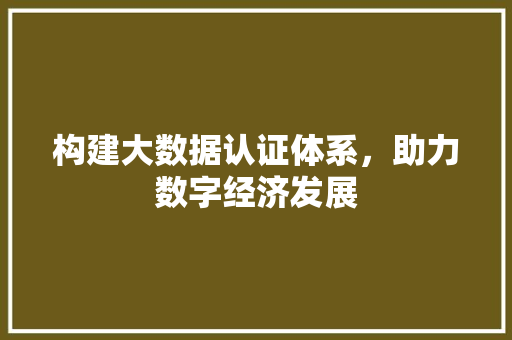 构建大数据认证体系，助力数字经济发展  第1张