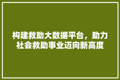 构建救助大数据平台，助力社会救助事业迈向新高度