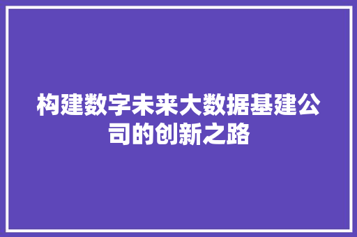 构建数字未来大数据基建公司的创新之路