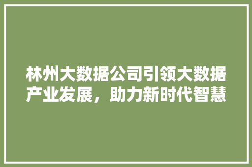 林州大数据公司引领大数据产业发展，助力新时代智慧城市建设  第1张