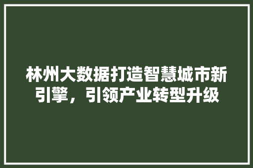 林州大数据打造智慧城市新引擎，引领产业转型升级  第1张