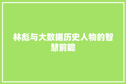 林彪与大数据历史人物的智慧前瞻