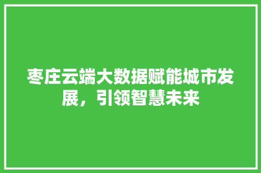 枣庄云端大数据赋能城市发展，引领智慧未来  第1张