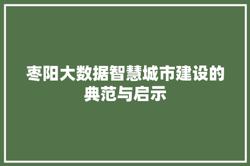 枣阳大数据智慧城市建设的典范与启示  第1张
