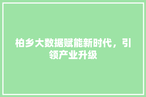 柏乡大数据赋能新时代，引领产业升级  第1张