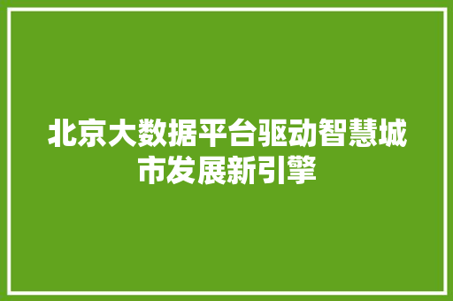 北京大数据平台驱动智慧城市发展新引擎