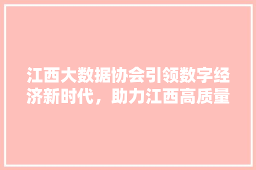 江西大数据协会引领数字经济新时代，助力江西高质量发展  第1张