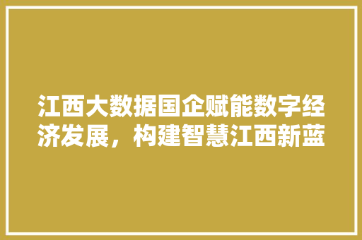 江西大数据国企赋能数字经济发展，构建智慧江西新蓝图  第1张