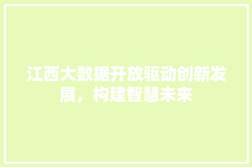 江西大数据开放驱动创新发展，构建智慧未来