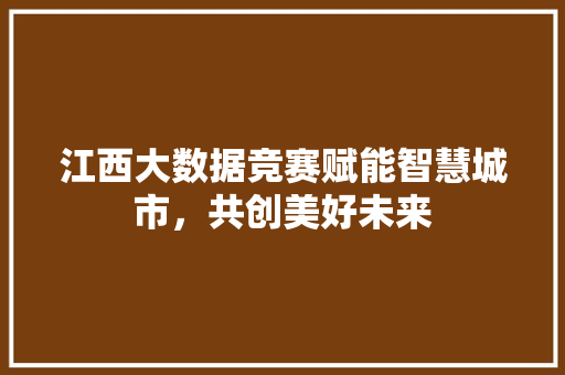 江西大数据竞赛赋能智慧城市，共创美好未来
