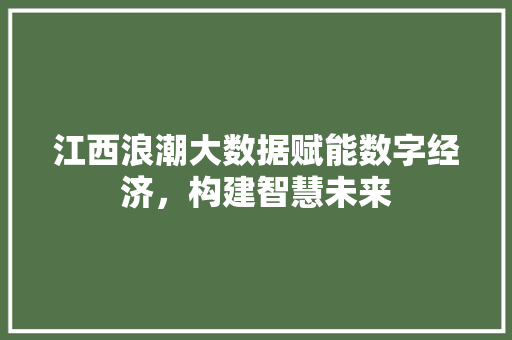 江西浪潮大数据赋能数字经济，构建智慧未来
