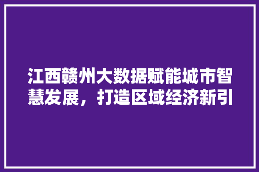 江西赣州大数据赋能城市智慧发展，打造区域经济新引擎  第1张
