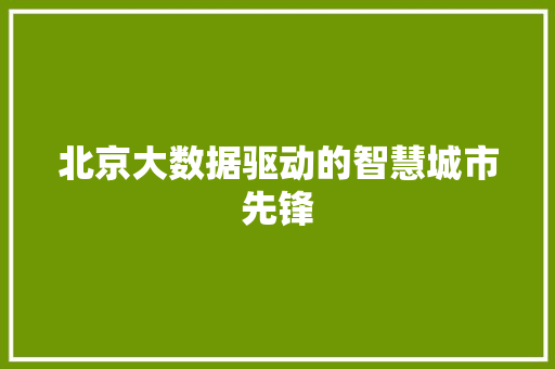 北京大数据驱动的智慧城市先锋  第1张