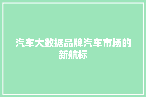 汽车大数据品牌汽车市场的新航标  第1张