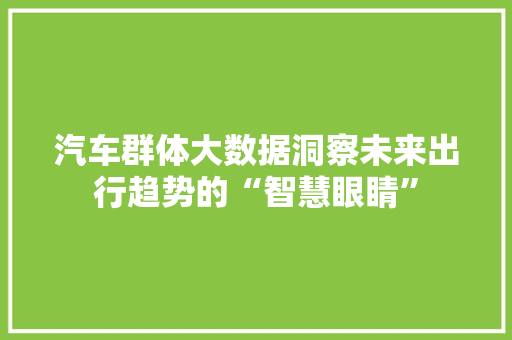 汽车群体大数据洞察未来出行趋势的“智慧眼睛”  第1张