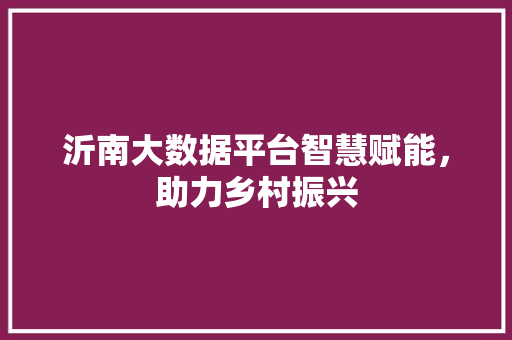 沂南大数据平台智慧赋能，助力乡村振兴  第1张