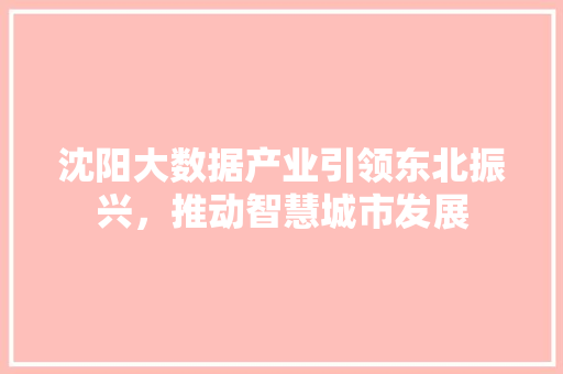 沈阳大数据产业引领东北振兴，推动智慧城市发展  第1张