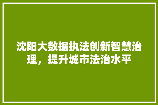 沈阳大数据执法创新智慧治理，提升城市法治水平