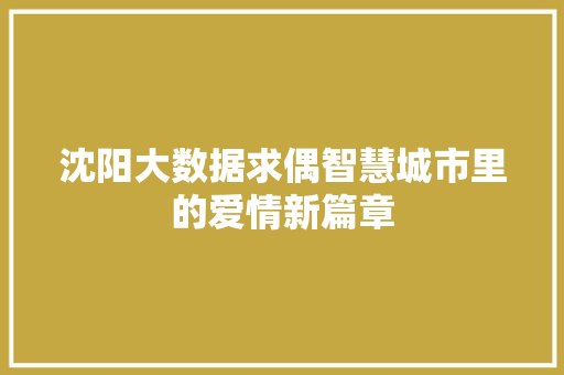 沈阳大数据求偶智慧城市里的爱情新篇章