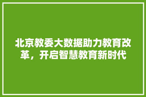 北京教委大数据助力教育改革，开启智慧教育新时代