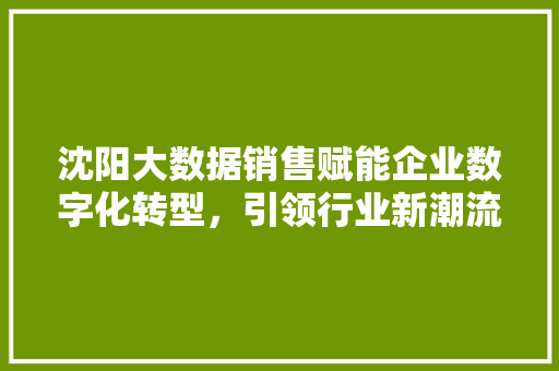 沈阳大数据销售赋能企业数字化转型，引领行业新潮流  第1张