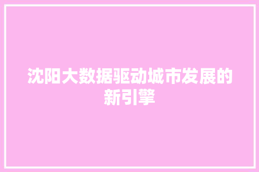 沈阳大数据驱动城市发展的新引擎  第1张