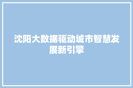 沈阳大数据驱动城市智慧发展新引擎  第1张