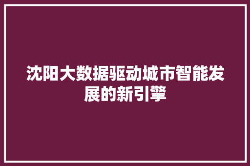 沈阳大数据驱动城市智能发展的新引擎  第1张