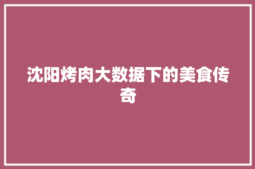 沈阳烤肉大数据下的美食传奇  第1张