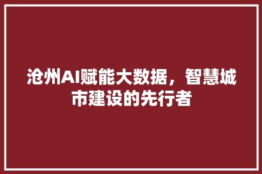 沧州AI赋能大数据，智慧城市建设的先行者