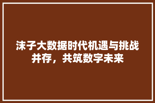 沫子大数据时代机遇与挑战并存，共筑数字未来  第1张
