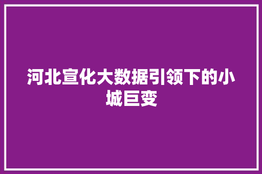 河北宣化大数据引领下的小城巨变