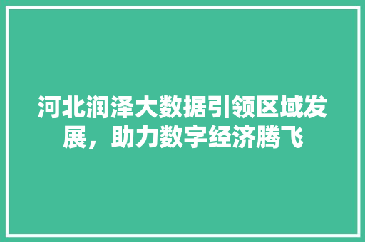河北润泽大数据引领区域发展，助力数字经济腾飞  第1张