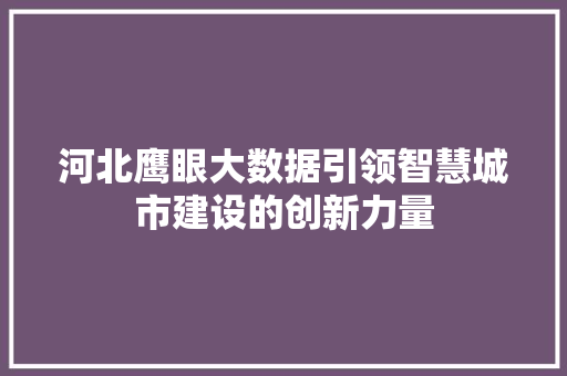 河北鹰眼大数据引领智慧城市建设的创新力量