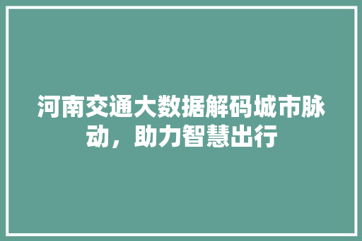 河南交通大数据解码城市脉动，助力智慧出行  第1张