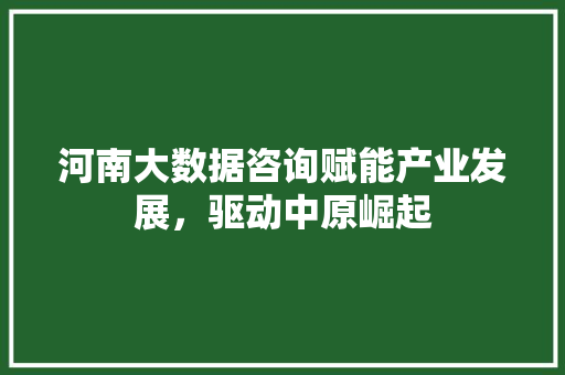 河南大数据咨询赋能产业发展，驱动中原崛起  第1张