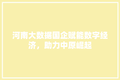 河南大数据国企赋能数字经济，助力中原崛起  第1张