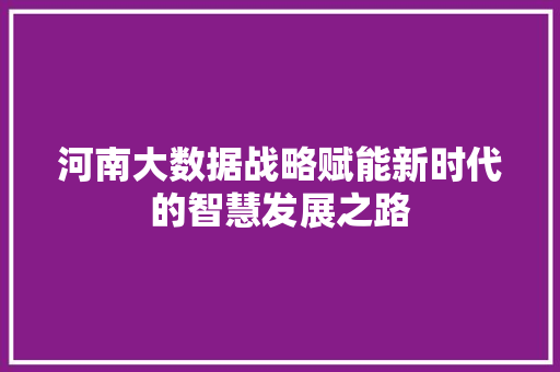 河南大数据战略赋能新时代的智慧发展之路  第1张