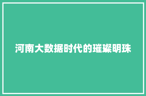 河南大数据时代的璀璨明珠  第1张