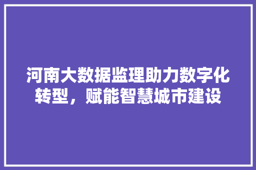 河南大数据监理助力数字化转型，赋能智慧城市建设