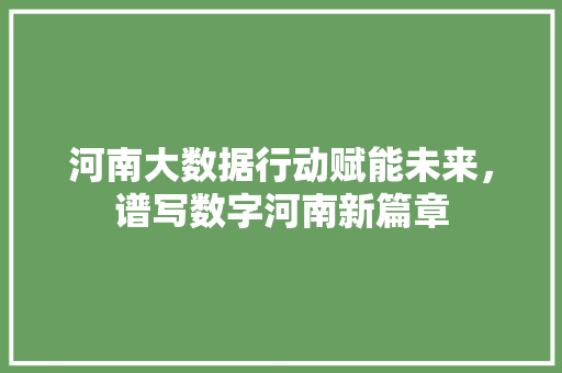 河南大数据行动赋能未来，谱写数字河南新篇章  第1张