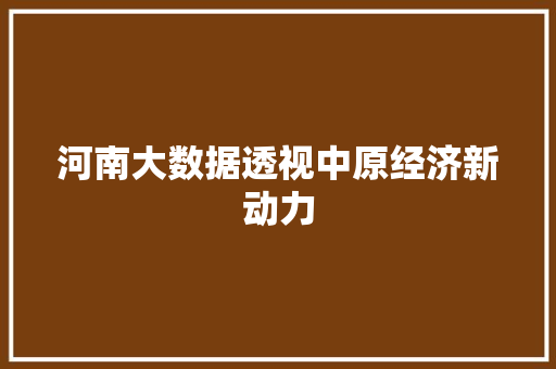 河南大数据透视中原经济新动力  第1张