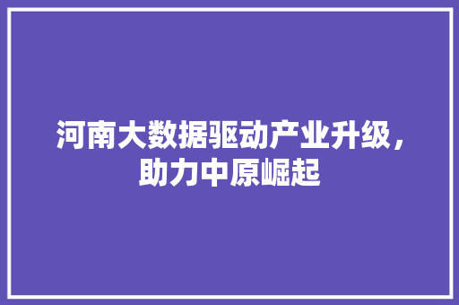 河南大数据驱动产业升级，助力中原崛起