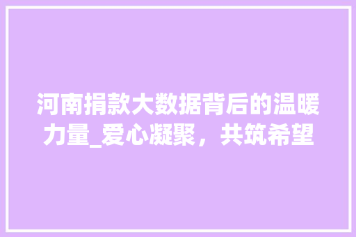 河南捐款大数据背后的温暖力量_爱心凝聚，共筑希望  第1张