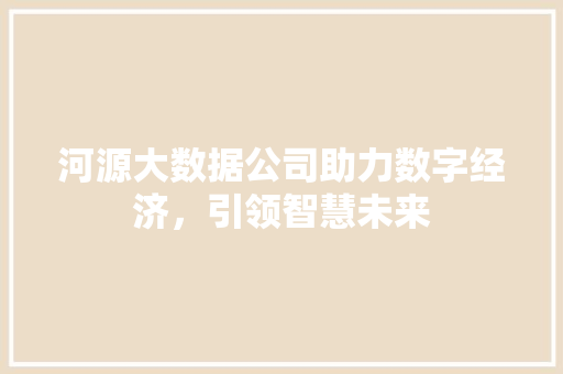河源大数据公司助力数字经济，引领智慧未来  第1张