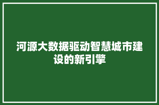 河源大数据驱动智慧城市建设的新引擎