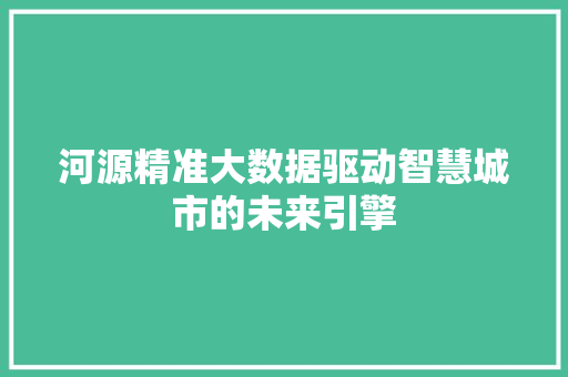 河源精准大数据驱动智慧城市的未来引擎  第1张